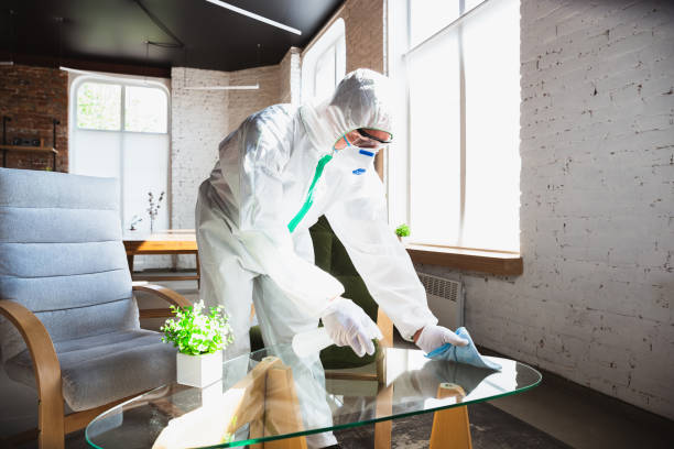 Best Biohazard Mold Removal in Girard, OH